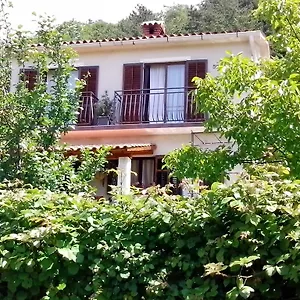 Vista Lupoglav (Istria)